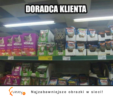 Doradca klienta