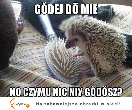 Godei do mie