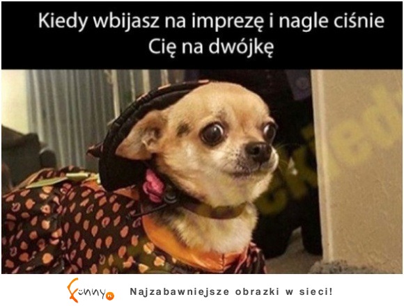 ciśnie