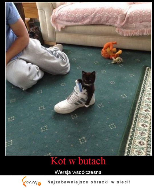 Kot w butach