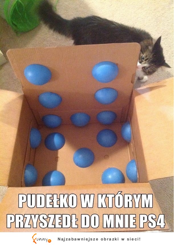 PUDEŁKO W KTÓRYM