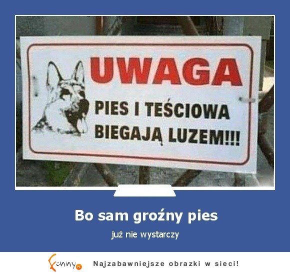 sam pies nie wystarczy