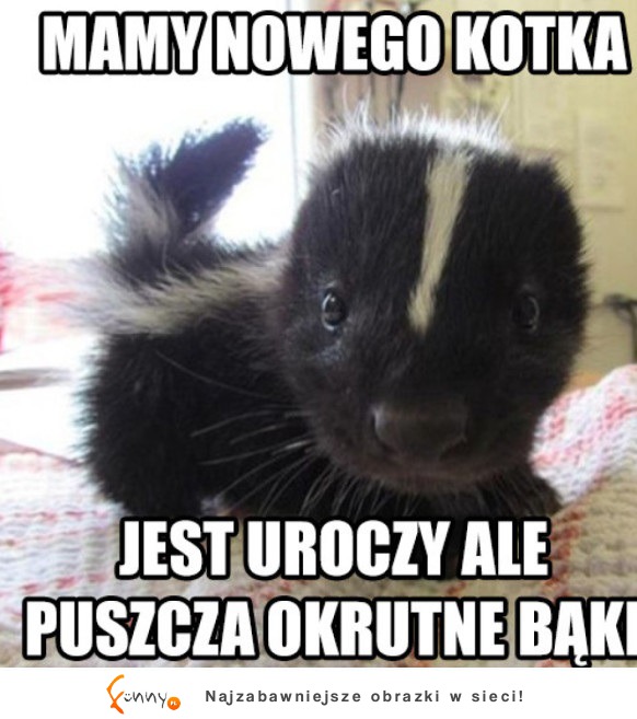 Jest uroczy ;)