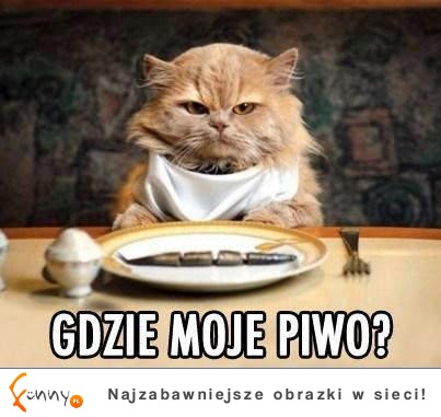 Gdzie piwo