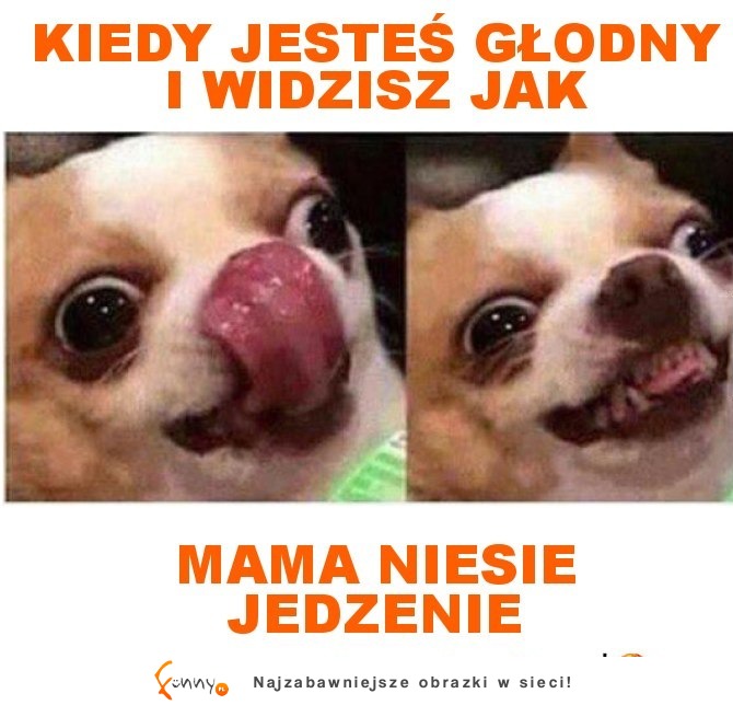 Ja kiedy jestem głodny a mama właśnie niesie jedzenie XD