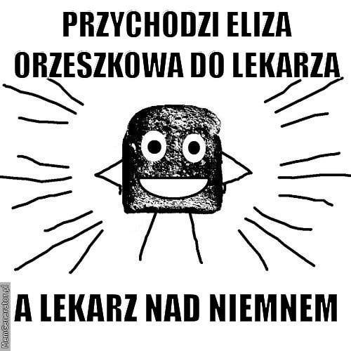 Przychodzi Eliza orzeszkowa