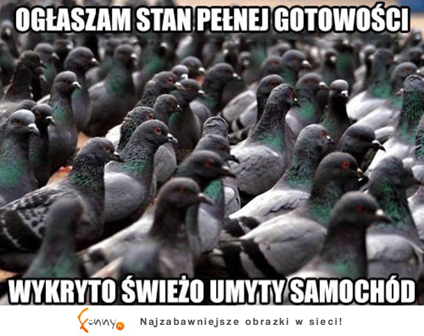 Umył auto