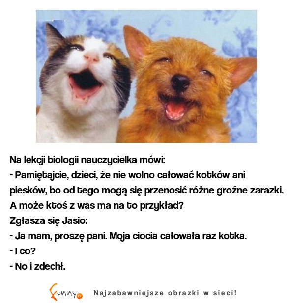 Nauczycielka Pamiętajcie, dzieci, że nie wolno całować kotków ani piesków.... Jasiu najlepszy ! xD