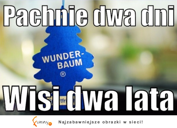 Wunder Baum ;D