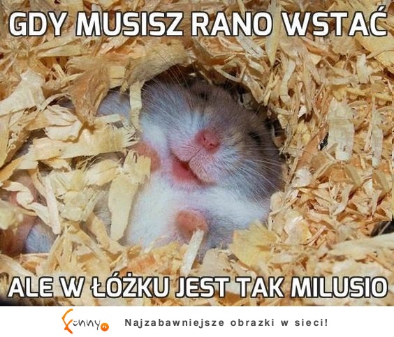 Kiedy musisz rano wstać, ale w łóżku jest TAK MILUSIO! :D