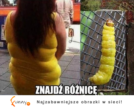 Znajdź różnice! ;D