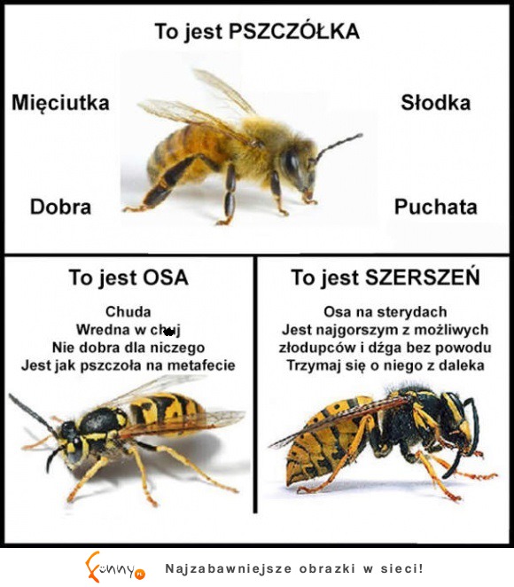 Znaj różnicę!