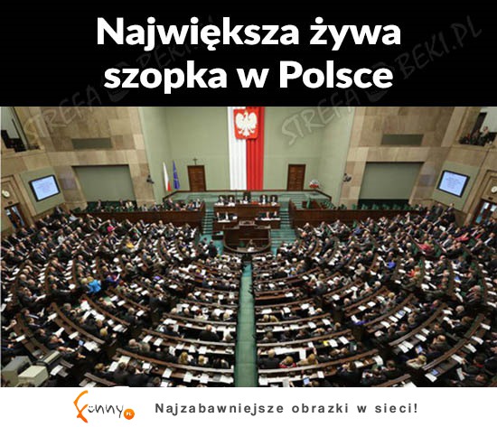 Największa szopka