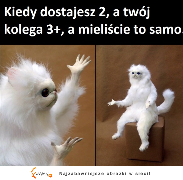 Mieliście to samo