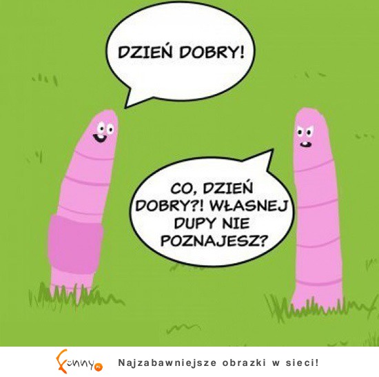 Nie poznał (2)