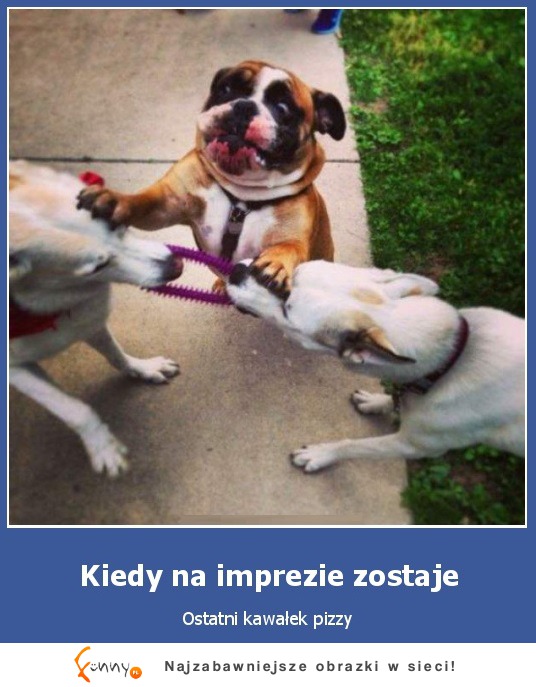 Kiedy na imprezie zostaje