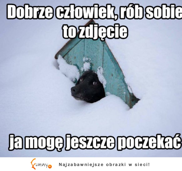 Dobrze człowiek