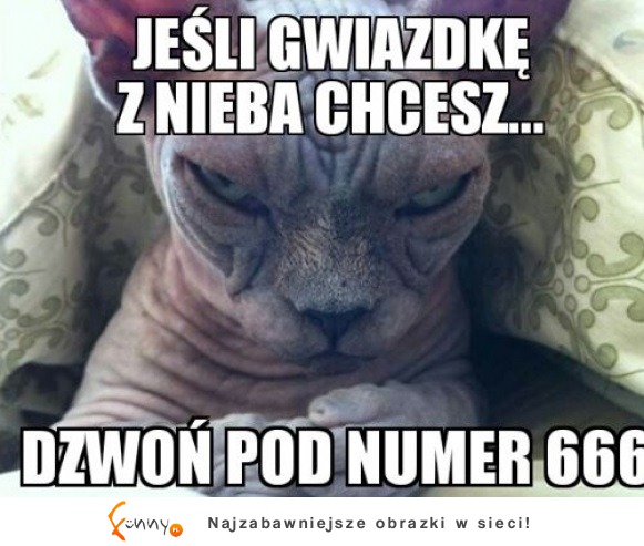 Dzwoń pod numer