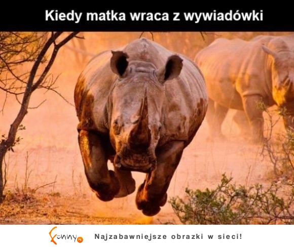 kiedy matka wraca z wywiadówki