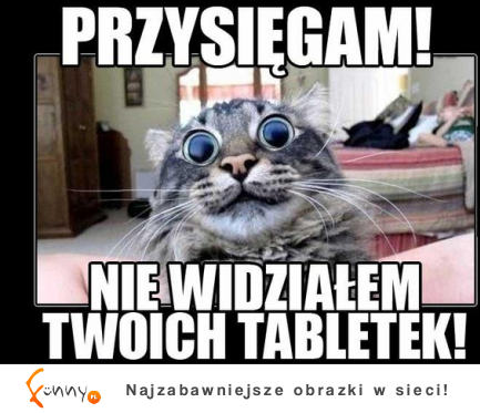 Przysięgam!