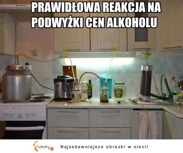 Prawidłowa reakcja