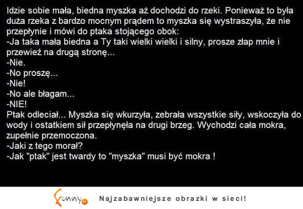 Idzie sobie małą, biedna myszka aż dochodzi do rzeczki :D