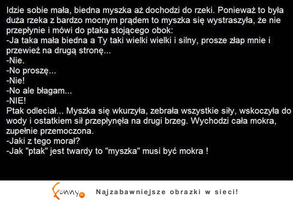 Idzie sobie małą, biedna myszka aż dochodzi do rzeczki :D