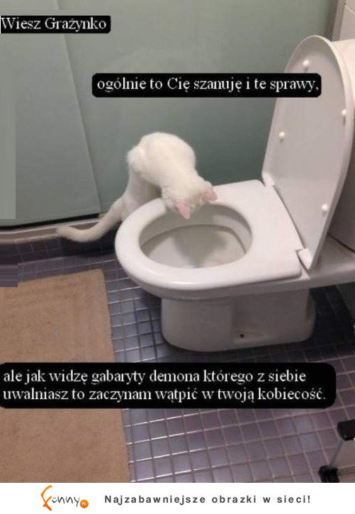 Szanuję Cię Grażynko