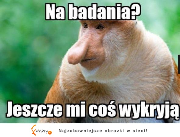 Riposta PRAWDZIWEGO POLAKA XD