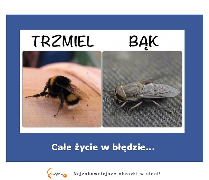 Całe życie żyłem w błędzie! Zobacz może Ty też tak myślałeś.... ;D