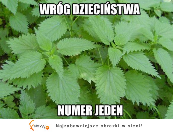 Wróg dzieciństwa