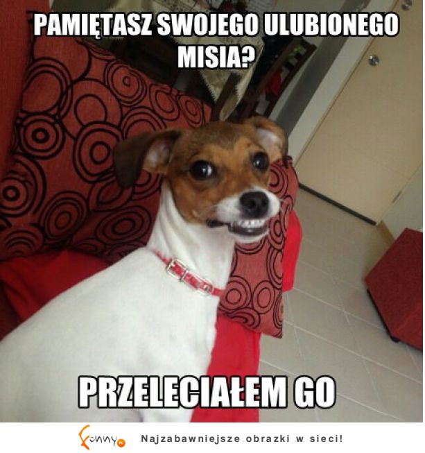 Pamiętasz go