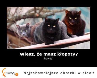 Wiesz, że masz kłopoty? Prawda? :P