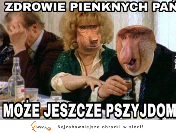 Typowa riposta prawdziwego polaka na polskim weselu XD