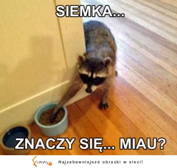 Znaczy się