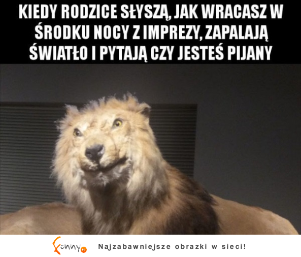 Jak wracasz z imprezy