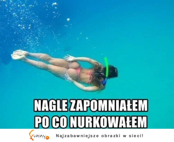 po co nurkowałem