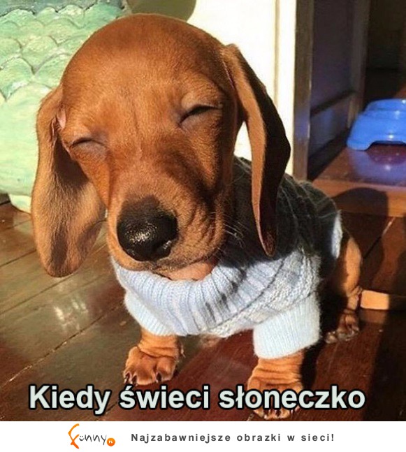 Uroczy pieseł