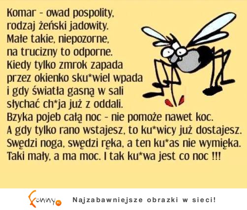 Komar