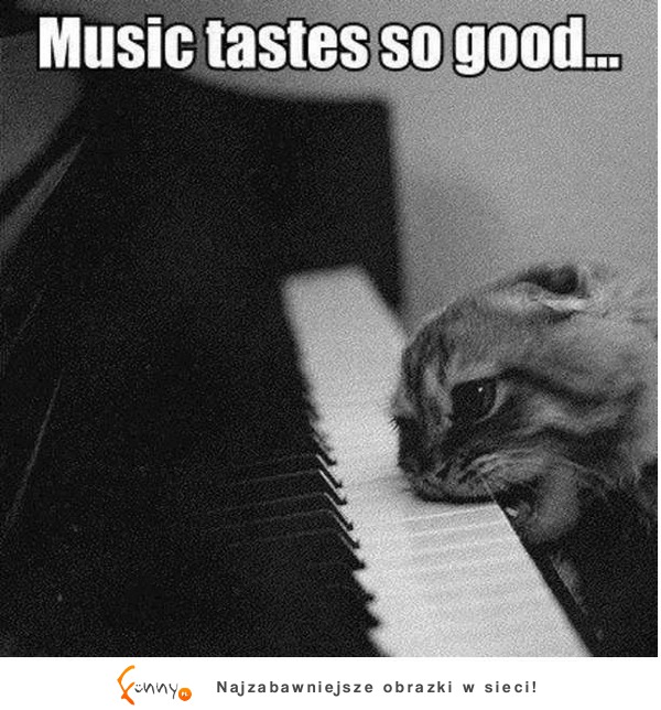 Music tastes so good... :D