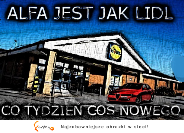 Jak w lidlu