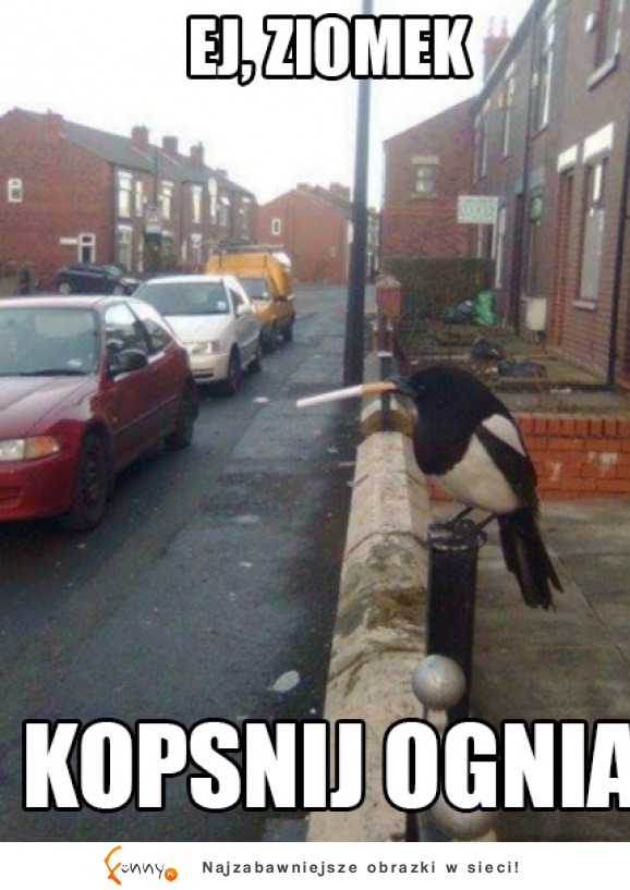 Kopsnij ognia