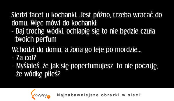 Siedzi facet u kochanki. jest późno, trzeba wracać do domu. więc mówi do kochanki... haha dobre Siedzi facet u kochanki. jest późno, trzeba wracać do domu. więc mówi do kochanki... haha dobre