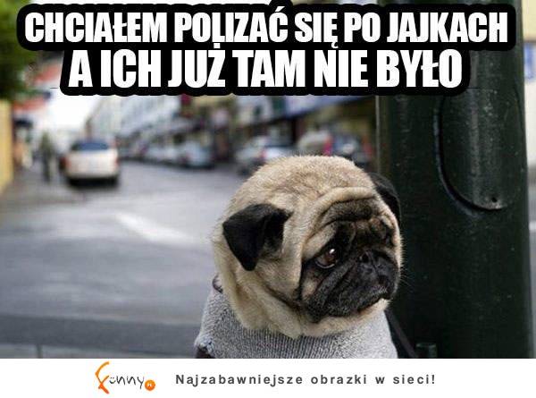 Chciałem polizać się po jajkach :(