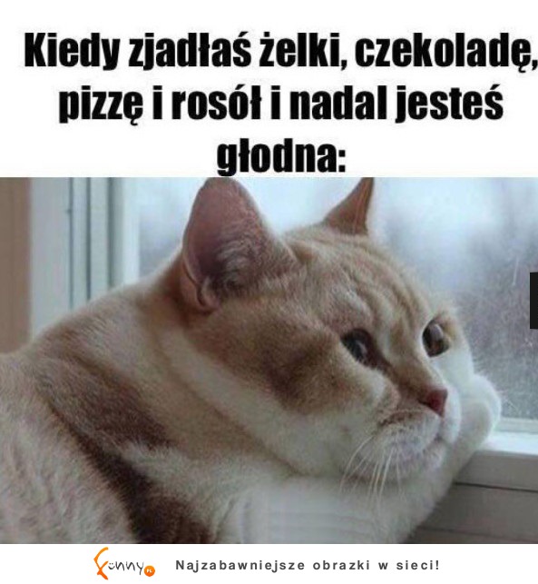 Dalej głodna