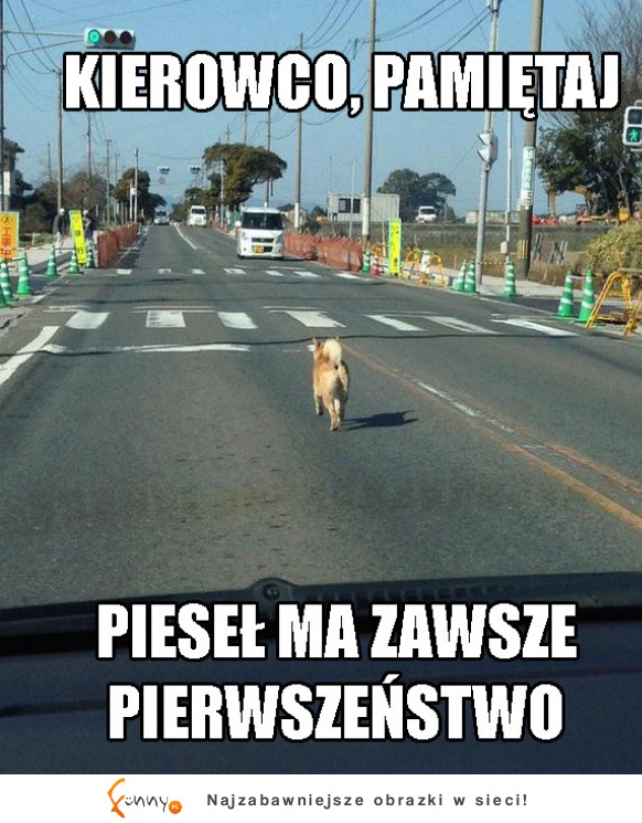 Piesł ma pierwszeństwo