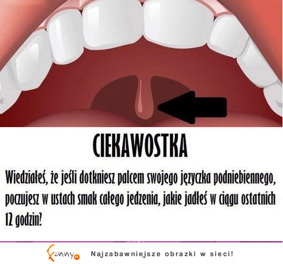 Wiesz do czego to służy Ma specjalne zadanie, które pozwoli Ci na