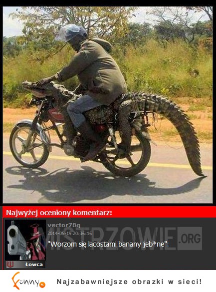 Najlepsze riposty MISTRZÓW INTERNETU! Ostatnia najlepsza ;D