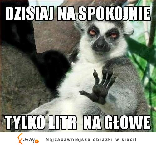 Tylko litr