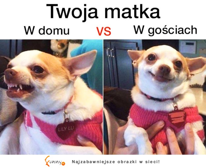 MATKI TAKIE SĄ